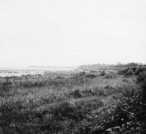 gc   christchurch england   ng332a